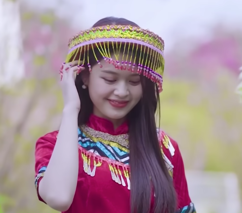 lĩnh vực hoạt động